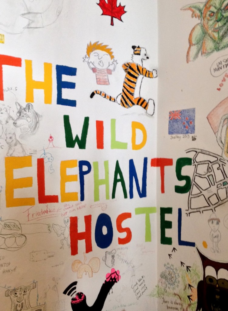 The wild elephants hostel Bratislava