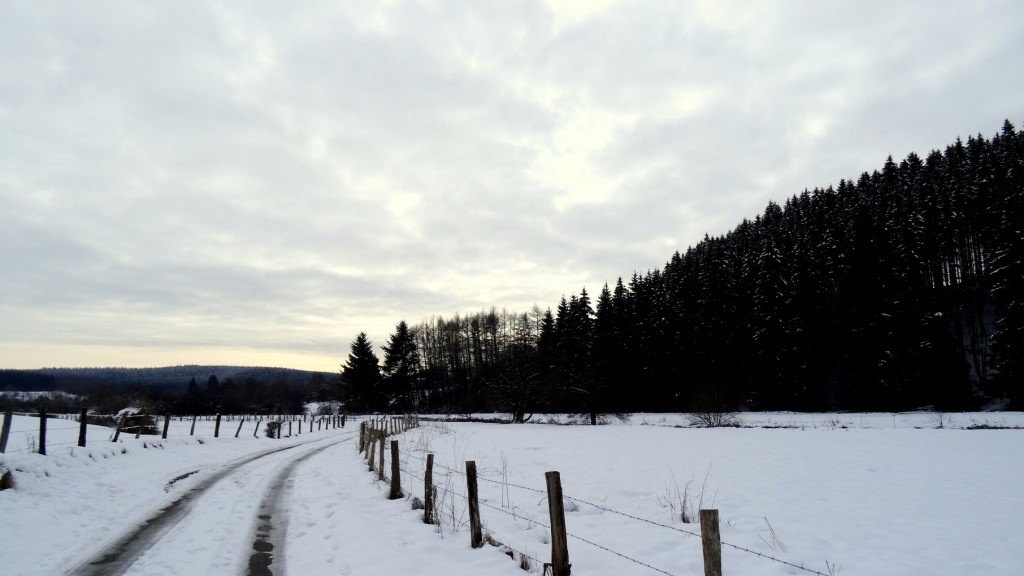 L'Ardenne belge en province du Luxembourg sous la neige