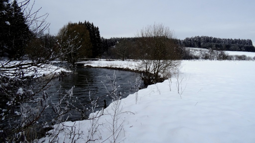 L'Ardenne belge en province du Luxembourg sous la neige