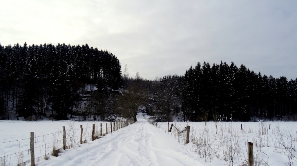 L'Ardenne Belge sous un manteau blanc