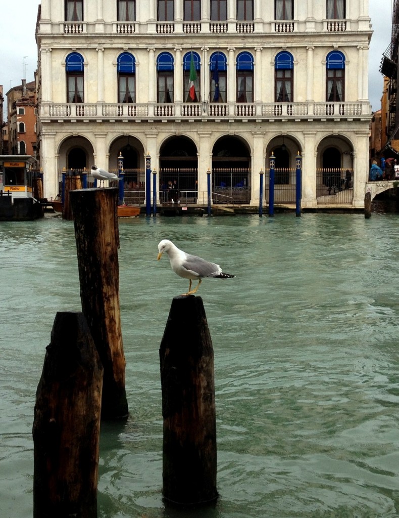 Canaux de Venise sous la pluie