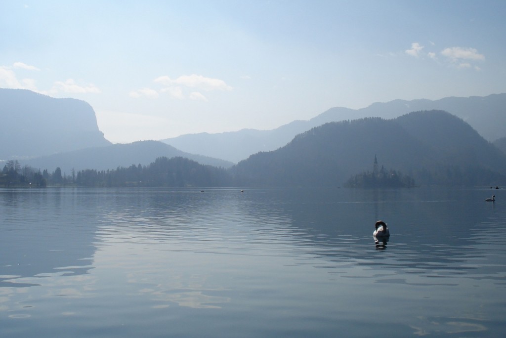 Dégradés de gris au lac Bled en Slovénie