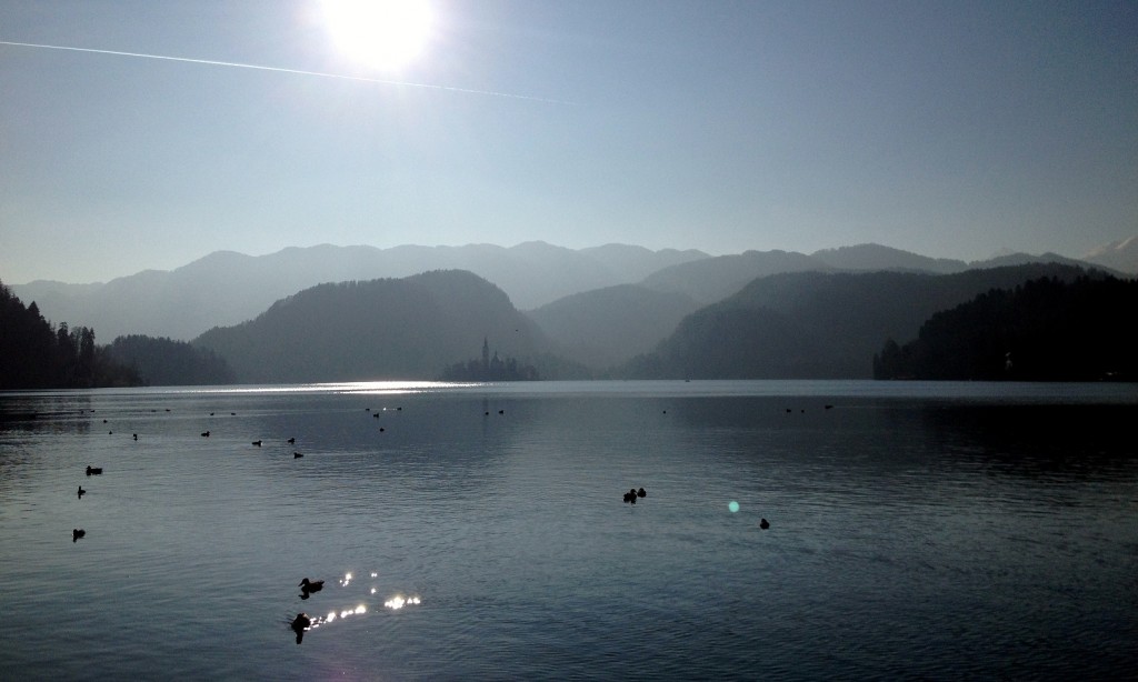 Dégradés de gris au lac Bled en Slovénie