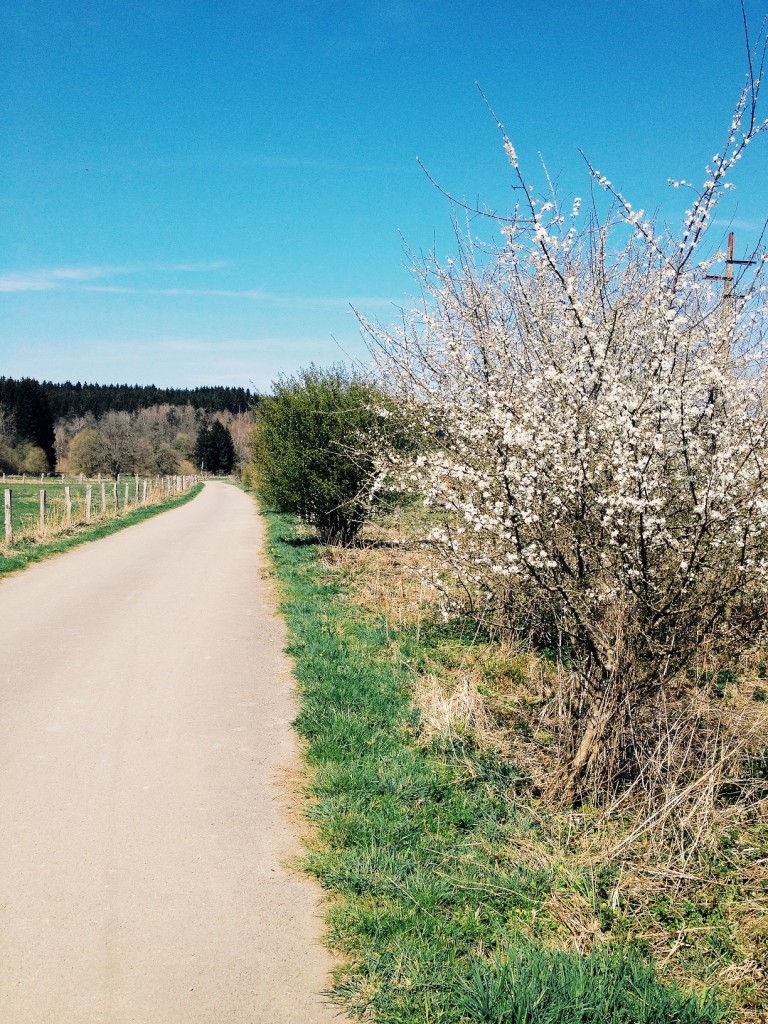 le printemps en province du Luxembourg