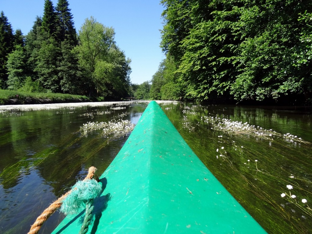 Descente de la Semois en canoë kayak - Province du Luxembourg