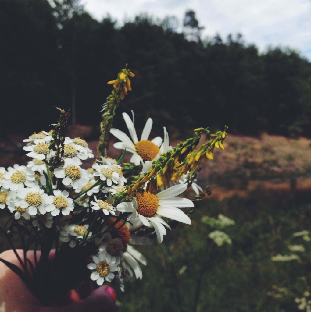 Bouquet de fleur sombres