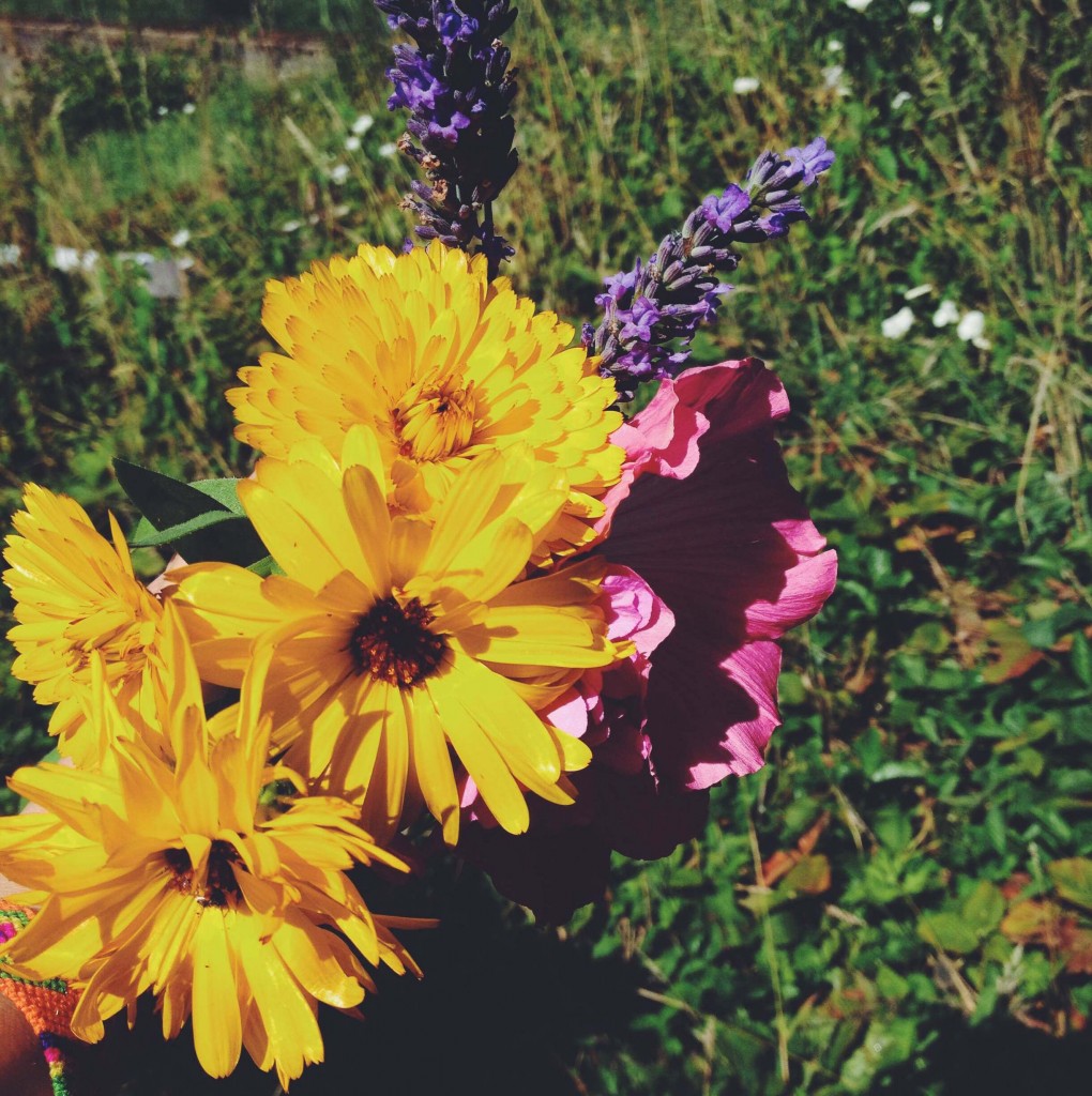 Bouquet de fleurs vives et colorées