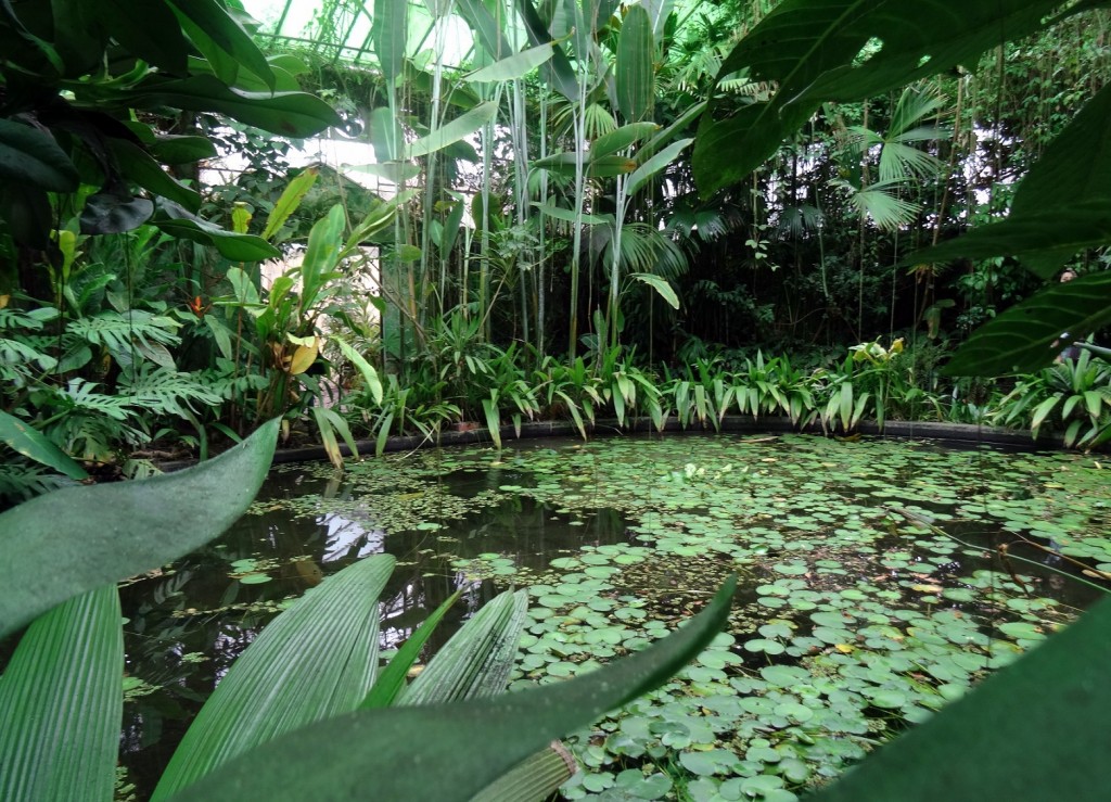 Jardin Botanique Bogota - Colombie - Cookie et Attila 14