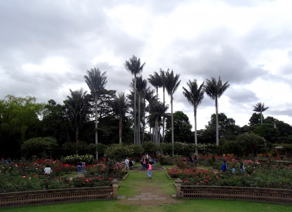 Jardin Botanique Bogota - Colombie - Cookie et Attila 18