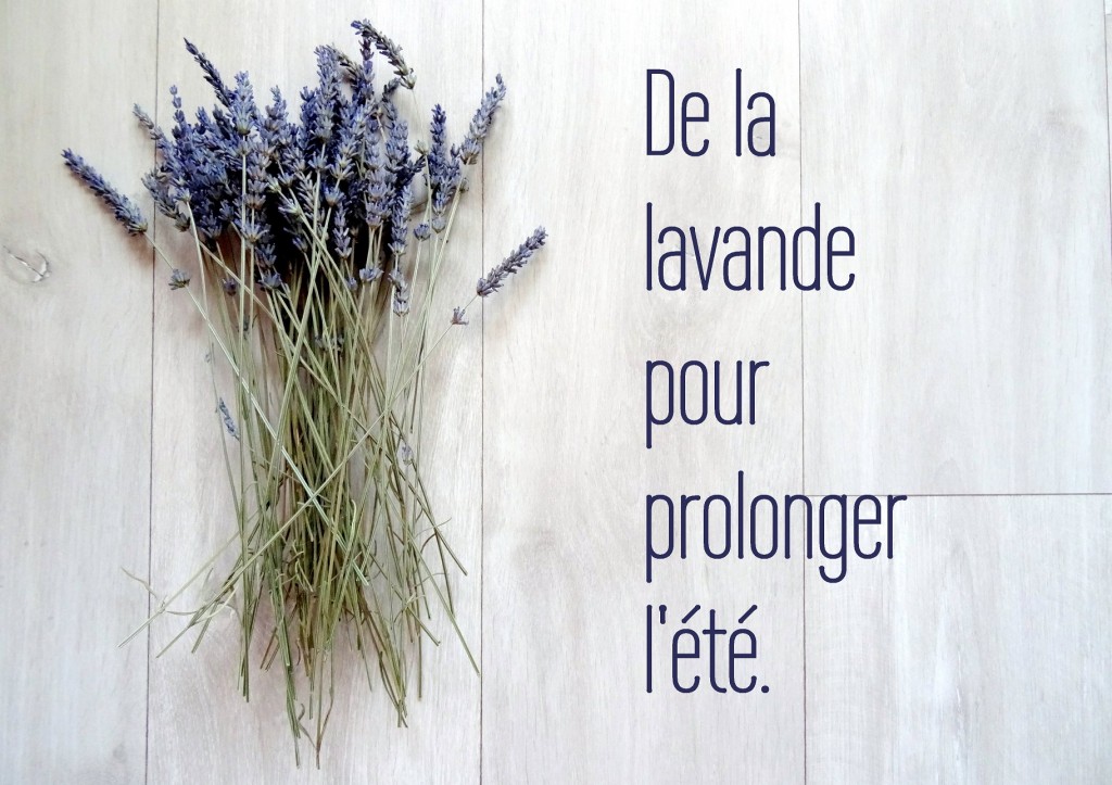 Diy lavande séchée pour prolonger l'été