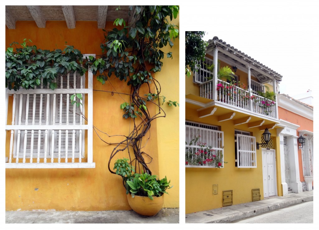 Façades et plantes des maisons à Carthagène des Indes