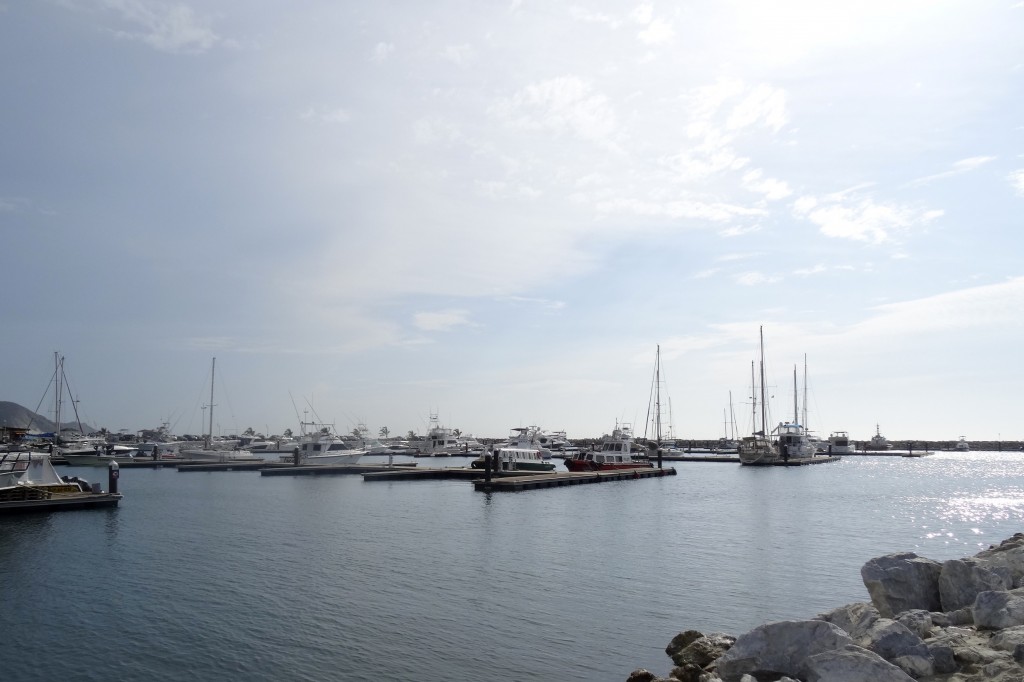 Port de Santa Marta Colombie