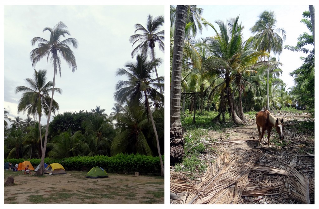 Camping et cheval à Cabo San Juan Tayrona en Colombie