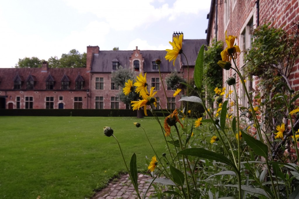 Printemps dans  le grand béguinage à Louvain