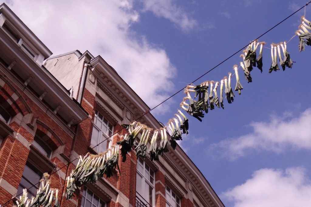 Poreux dans la Parijsstraat à Louvain