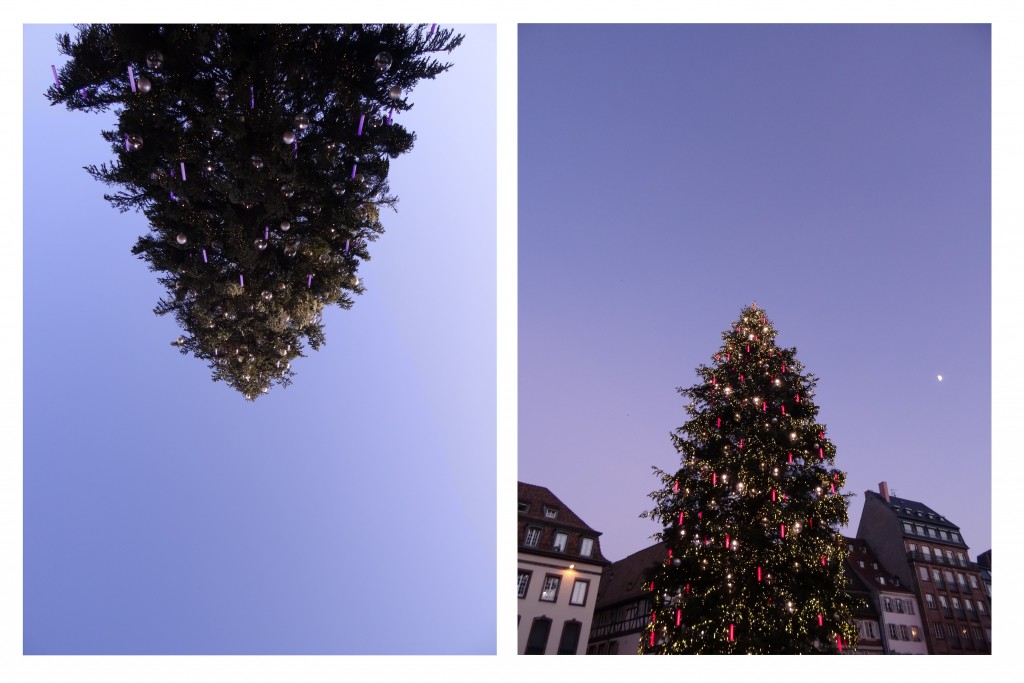 Grand sapin au marché de Noël de Strasbourg