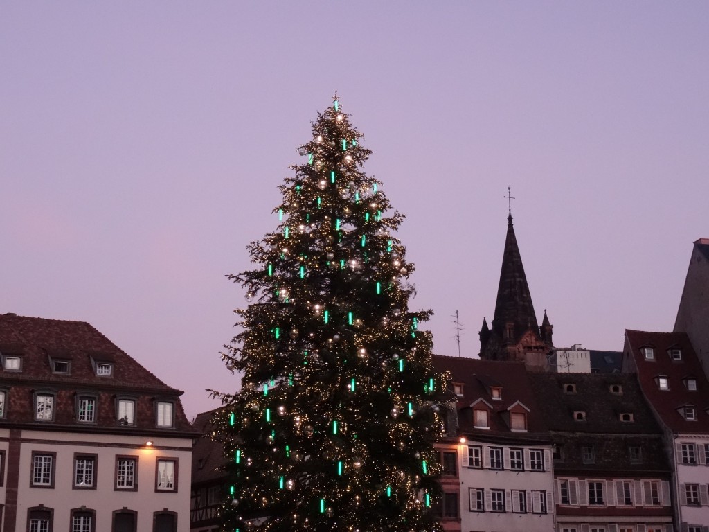 Oh grand sapin de Noël roi des forêts et de Strasbourg