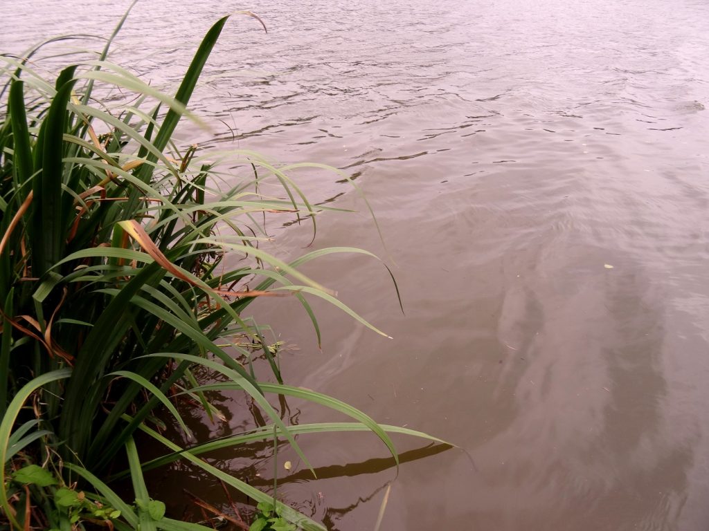 Divoka Sarka, réserve naturelle à deux pas de Prague