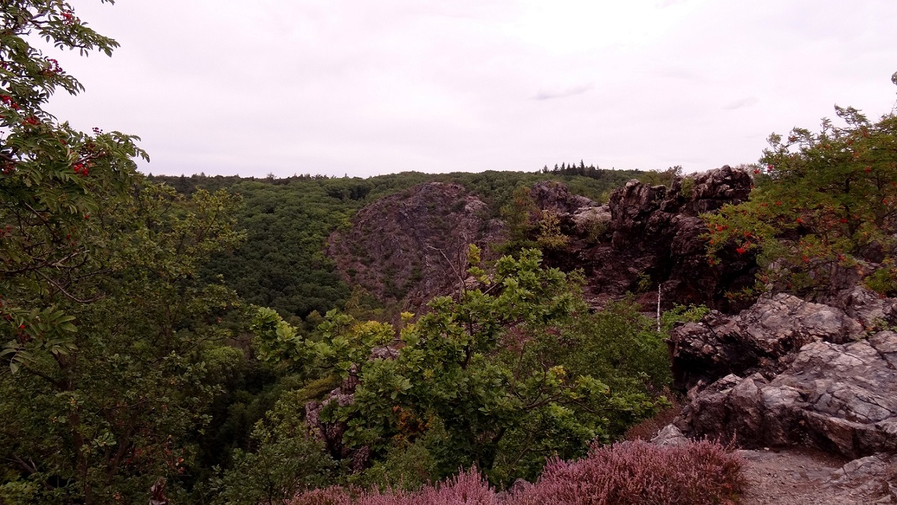 Divoka Sarka, réserve naturelle à deux pas de Prague