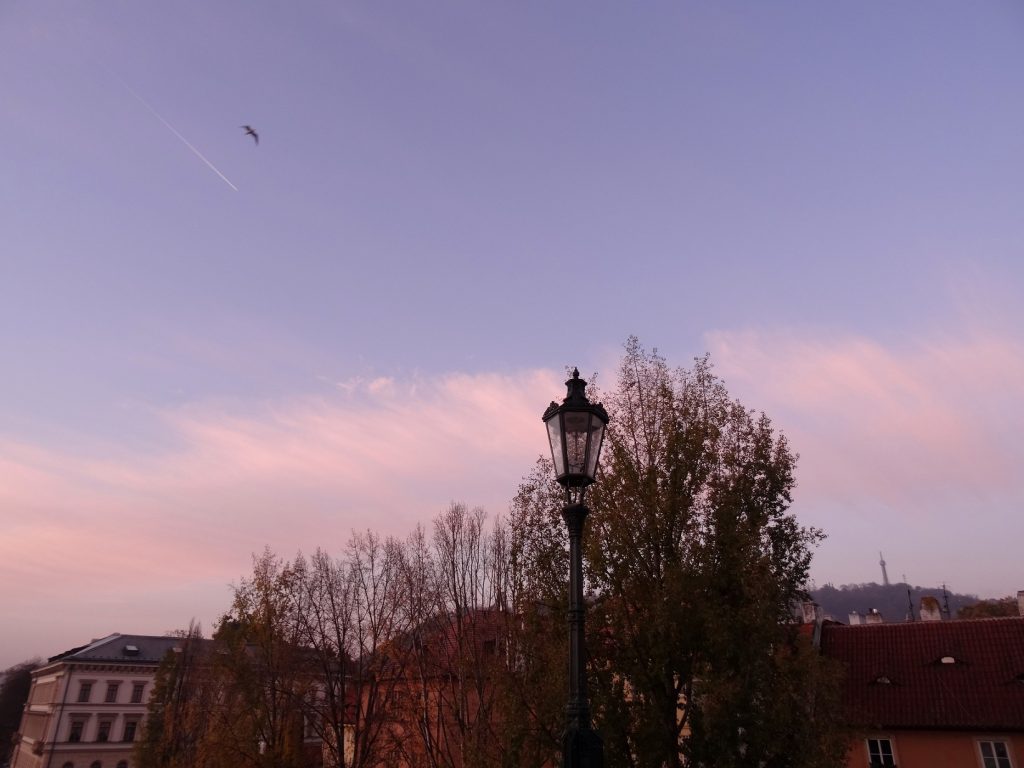 pont-charles-aube-cookie-et-attila-14