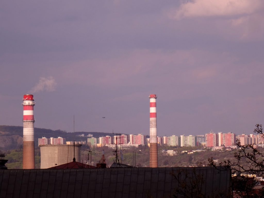 Brno boire et manger - Cookie et Attila 7