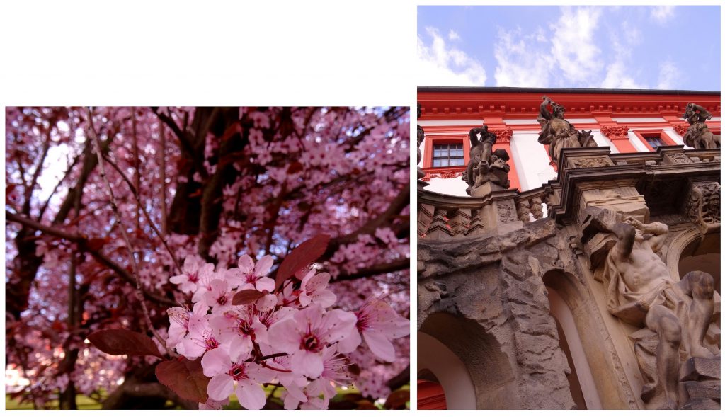 Arbres en fleur au château Troja à Prague, République Tchèque