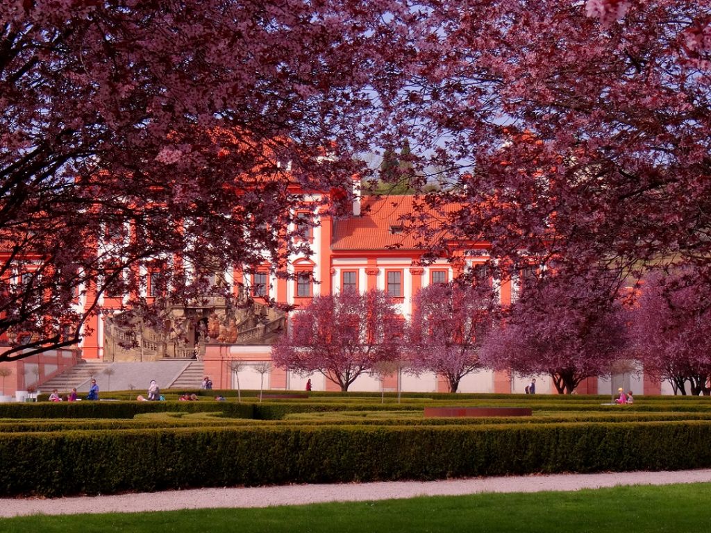 Arbres en fleur et verdure au château Troja à Prague, République Tchèque