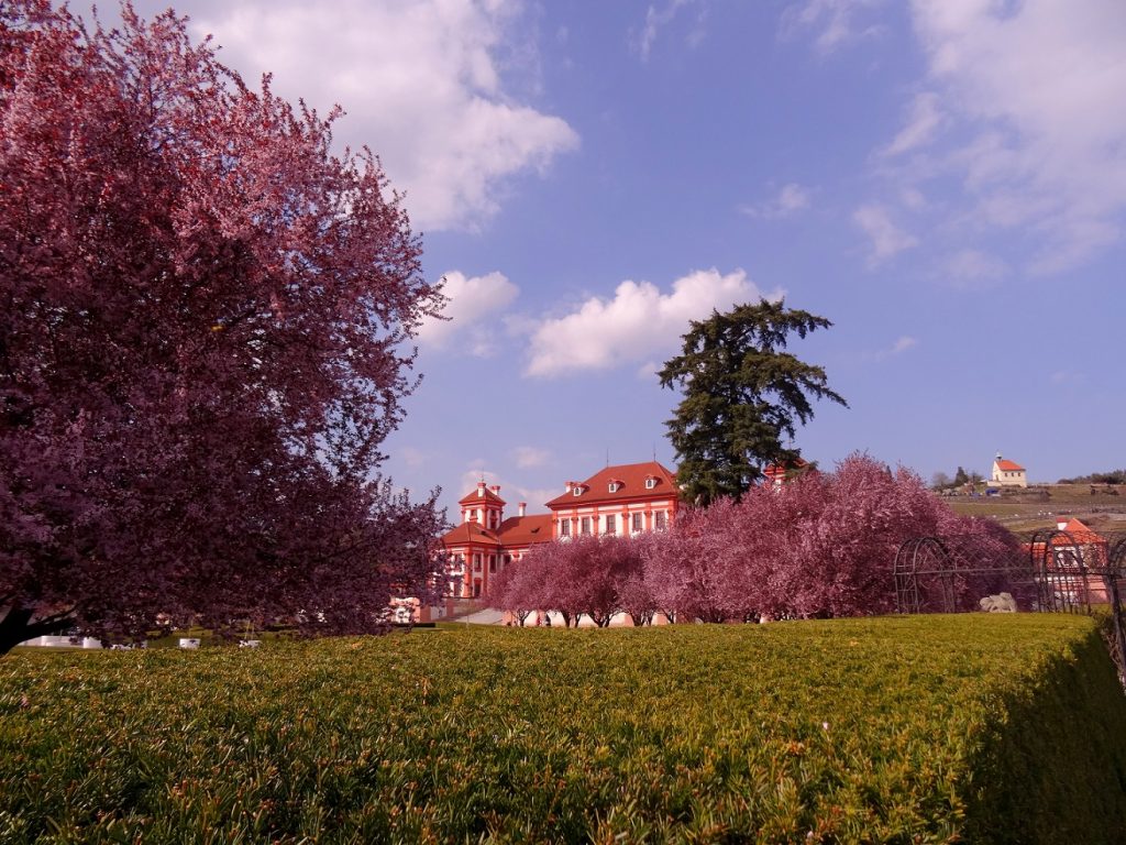 Arbres en fleur et verdure au château Troja à Prague, République Tchèque