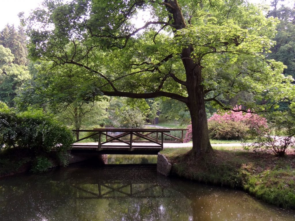 Pont et étendue d'eau au parc de Pruhonice