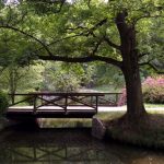 Joli pont à Pruhonice et son parc