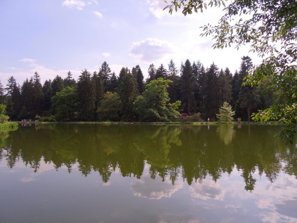 Reflet de la forêt environnante dans l'étang de Pruhonice