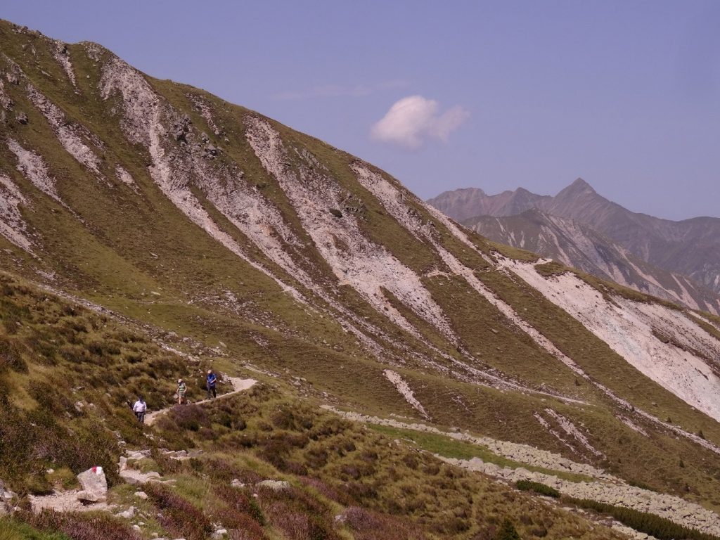 Verdure et montagne dans le Tyrol du Sud