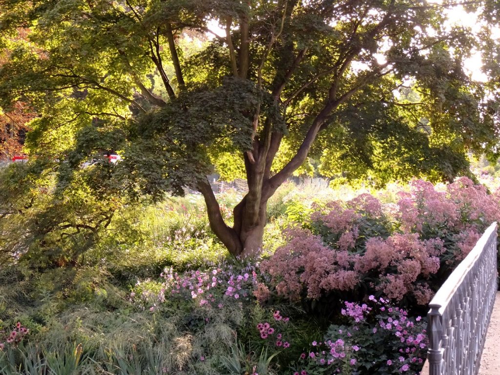 Parc de Stromovka à Prague