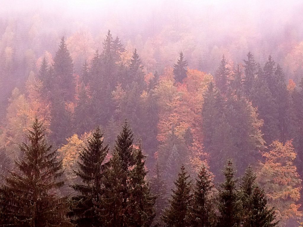 Météo capricieuse à Spindleruv Mlyn