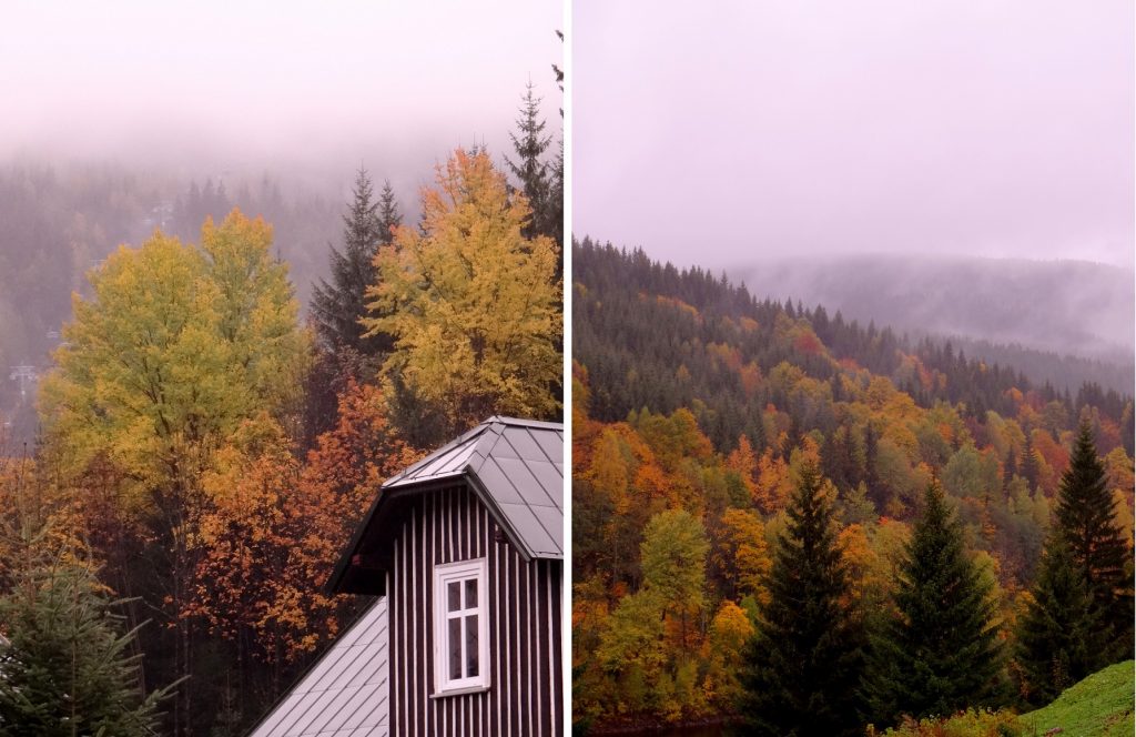 Spindleruv Mlyn et ses forêts