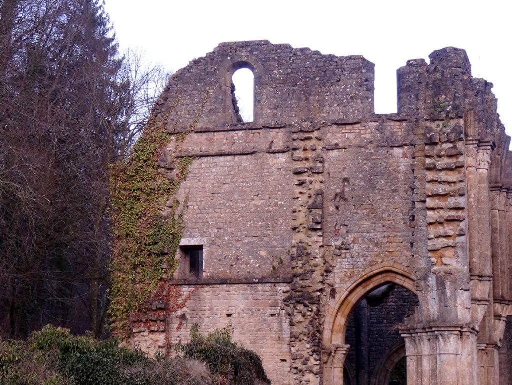 Visite des ruines de l’abbaye d’Orval