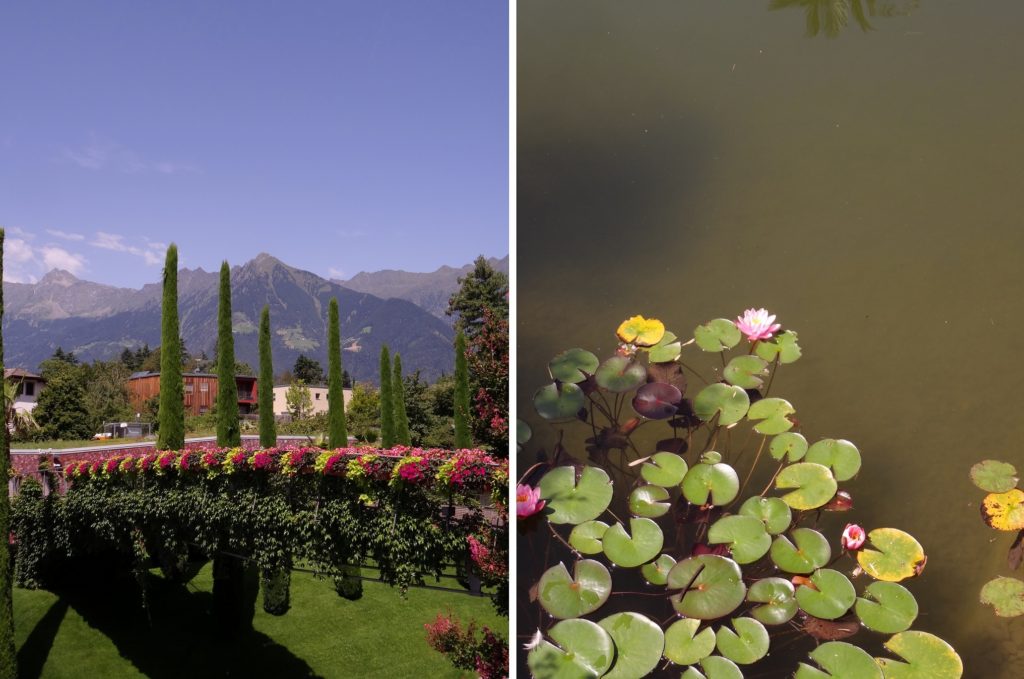 Nature dans le jardin botanique de Trauttmansdorff