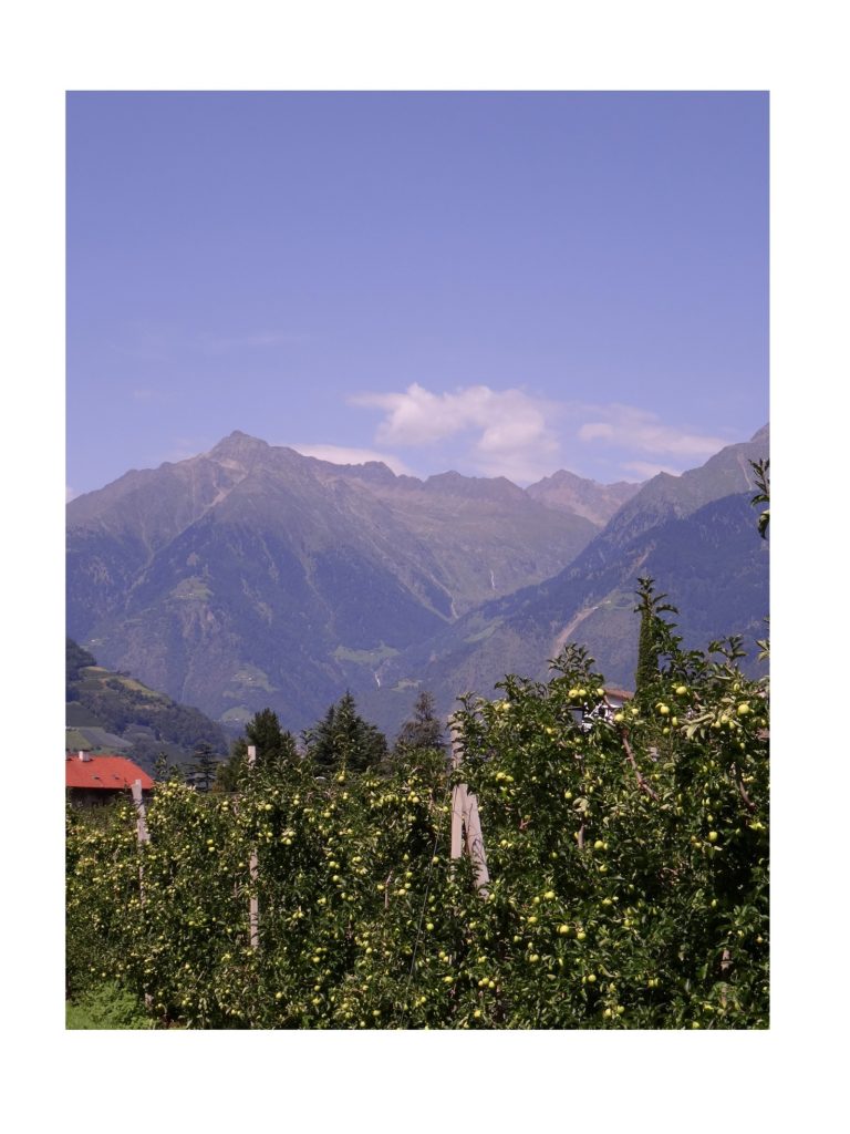 Les vergers de Marlengo en Italie
