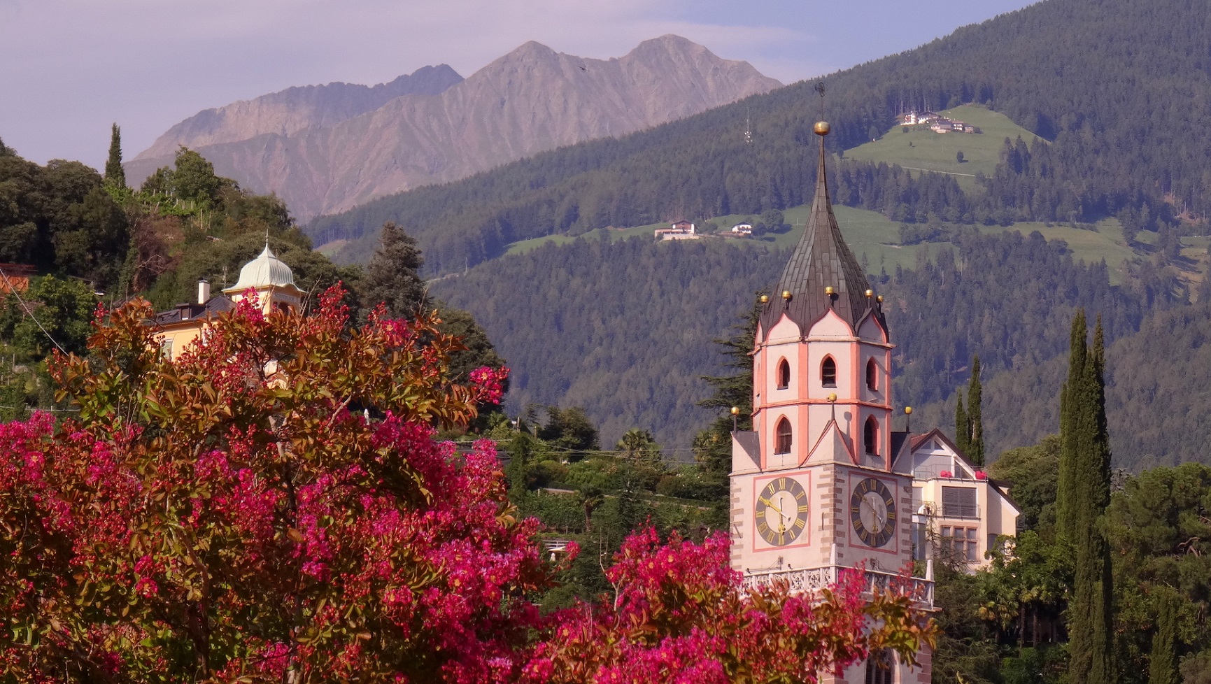 Clocher et fleurs de Merano