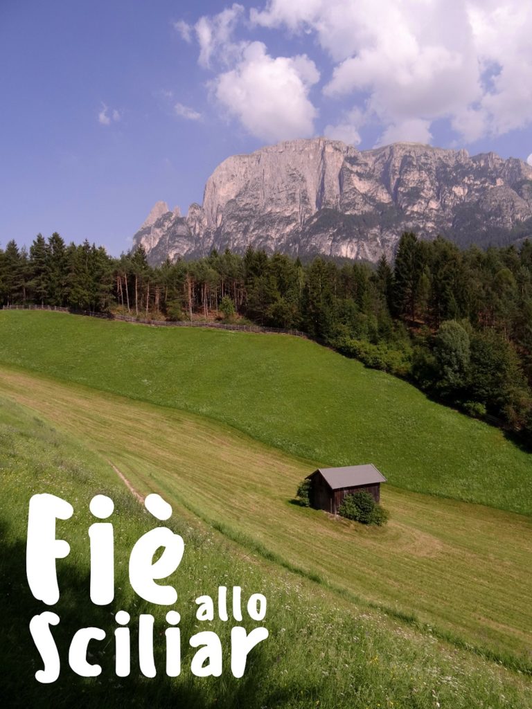 Visitez Fiè allo Sciliar dans le Tyrol du Sud en Italie