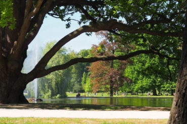 Parc Stromovka à Prague