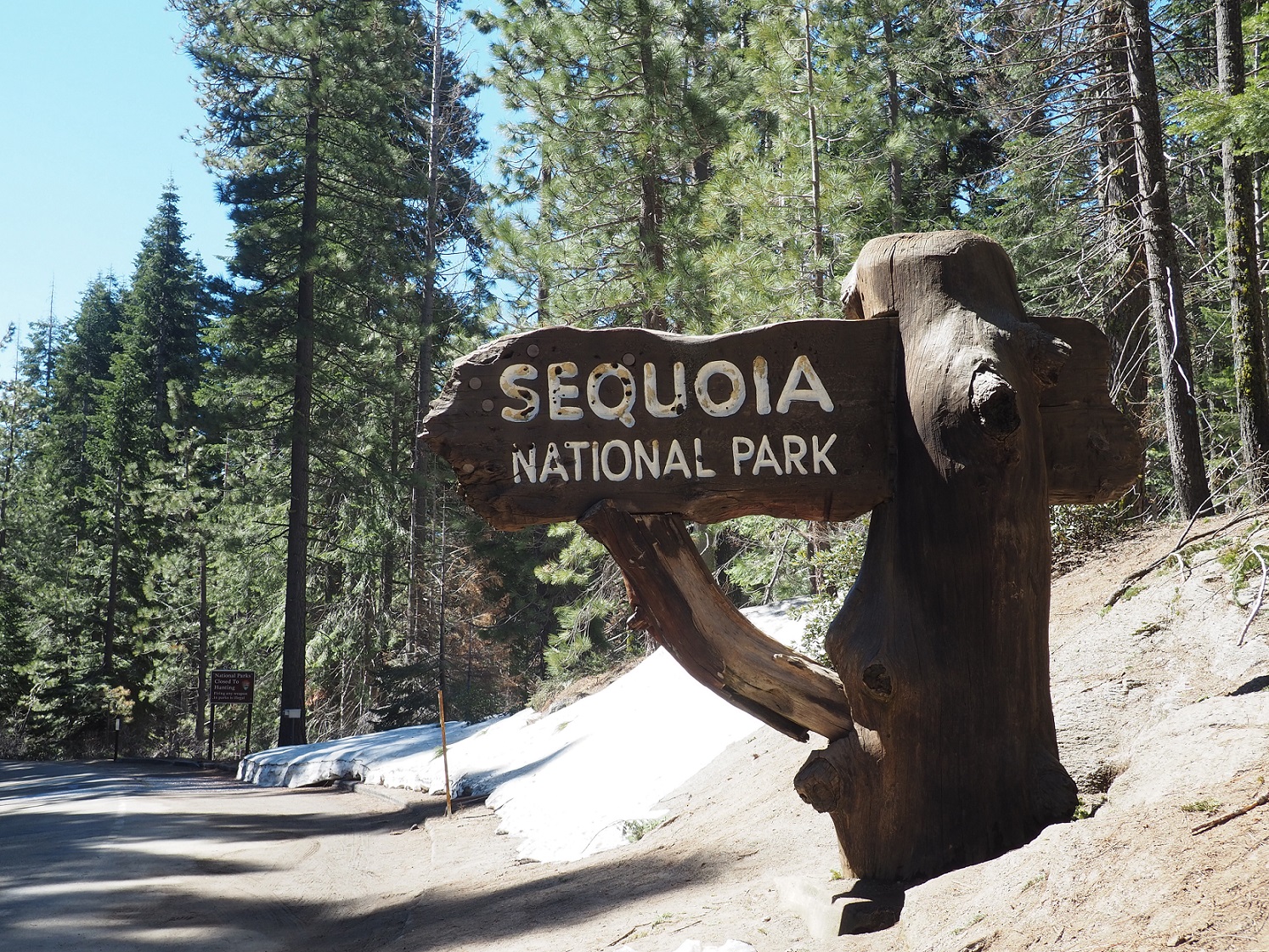 Parc national Sequoia