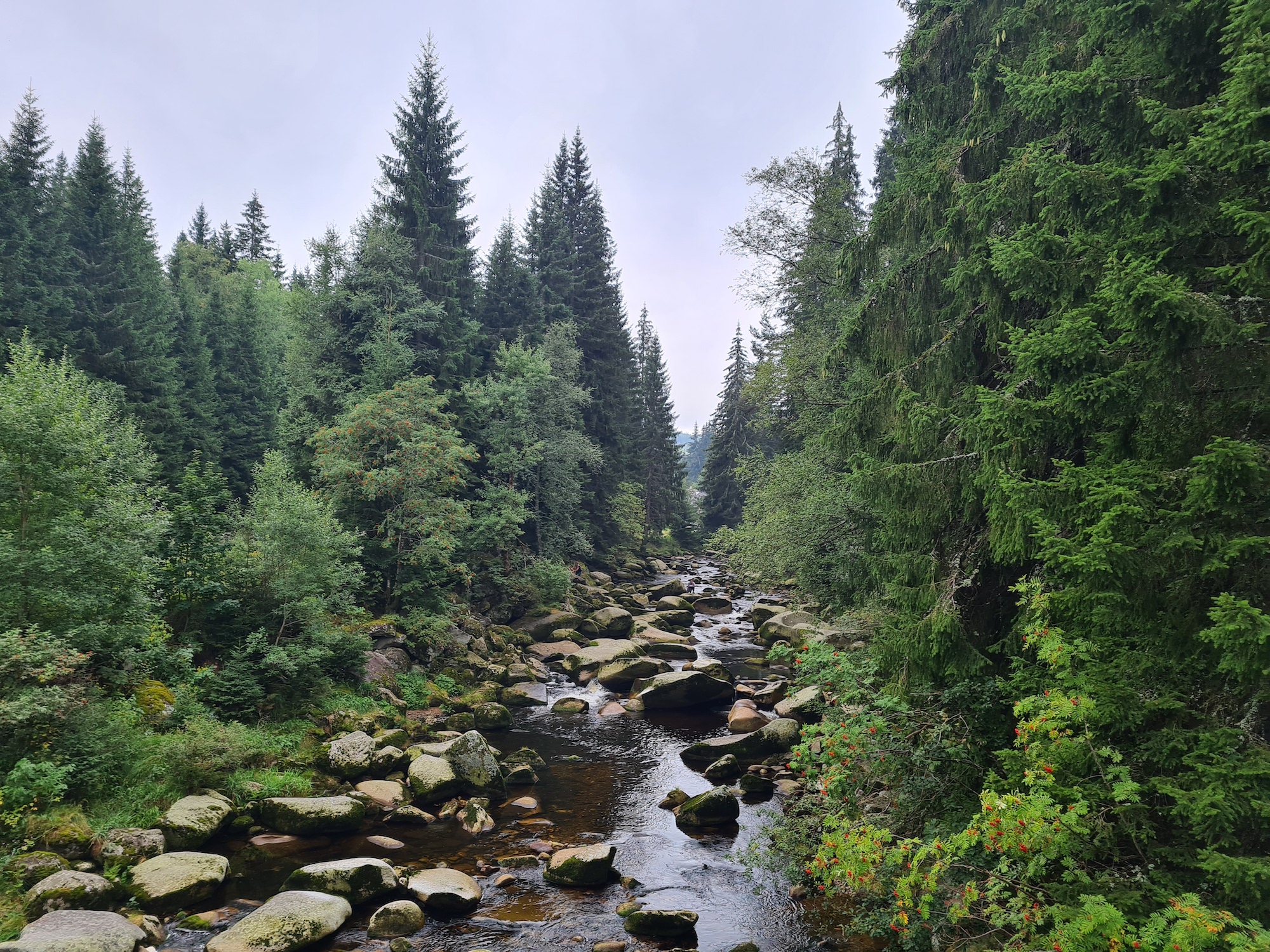Rivière Vydra à Sumava en République tchèque