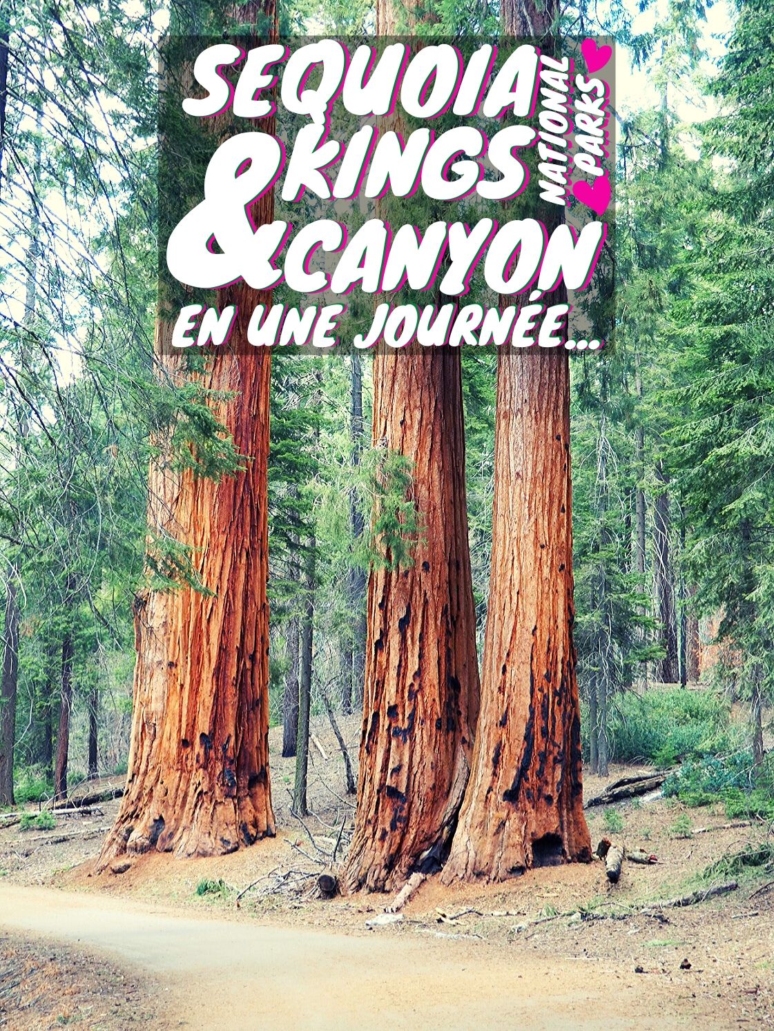 Informations pratiques et partage d'expérience pour la visite de Sequoia National Park et Kings Canyon National Park en journée.