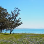 Cambria, San Simeon et Harmony en Californie