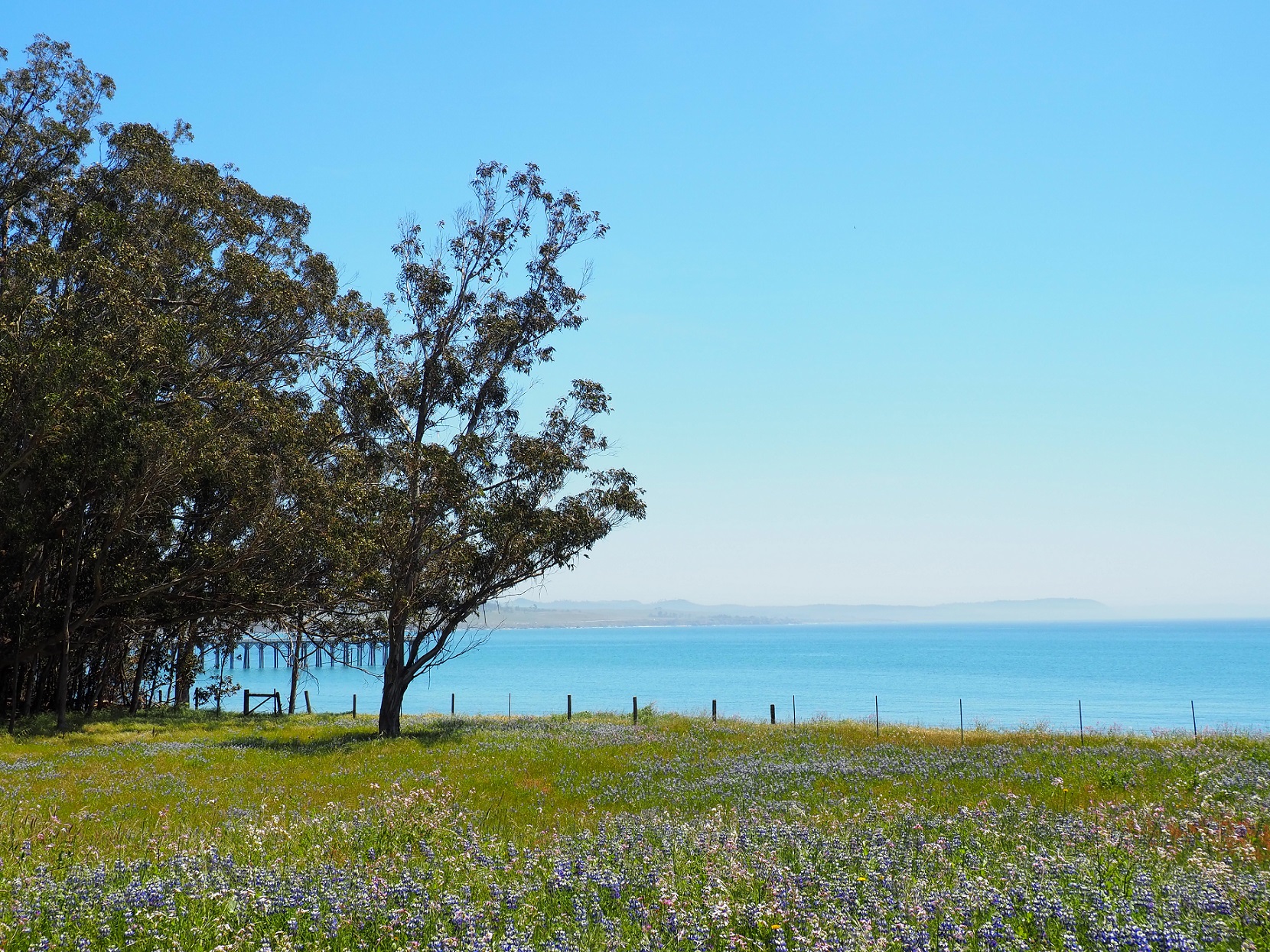 Cambria, San Simeon et Harmony en Californie