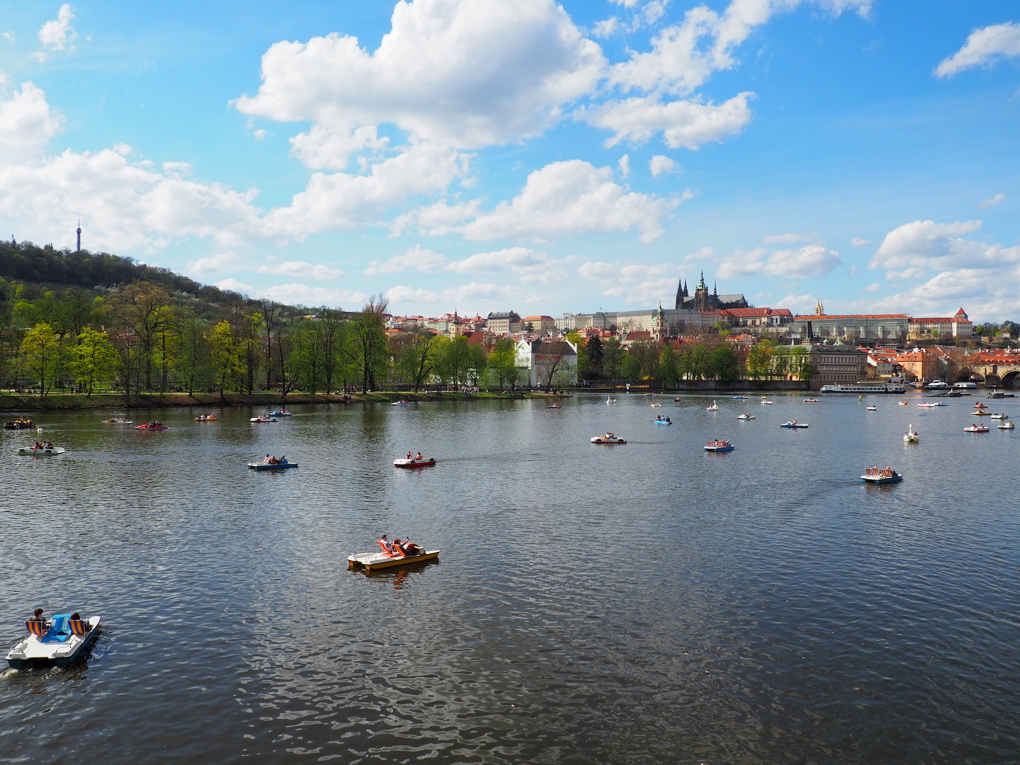 Paddle boat on the Vltava in Prague
