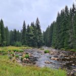 Visiter le parc national de Šumava en République tchèque