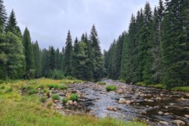 Visiter le parc national de Šumava en République tchèque