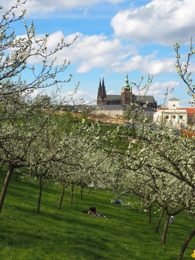 Vue sur le château de Prague depuis Petřín